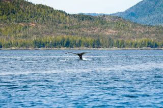 Ketchikans Favorite Cultural and Historical Sites
