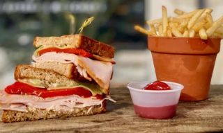 Dos Olivos Market- Buda