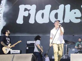 Fiddlehead