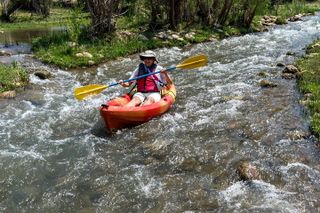 Guided Kayak Adventure on the Verde River