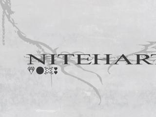 Niteharts Festival
