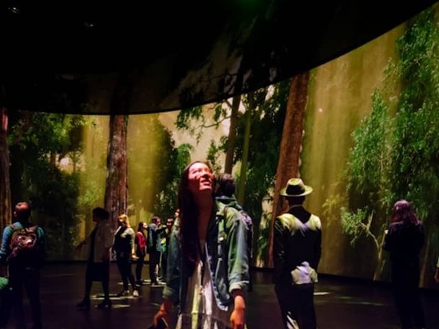 American Museum of Natural History (AMNH): Plus One Ticket