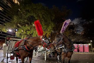Central Park Carriage Ride NYC’s Timeless Tour