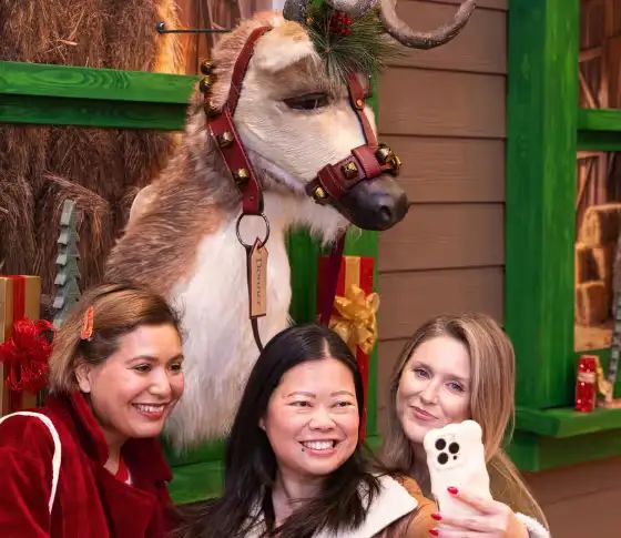 MarketFair's Merry Reindeer Stable
