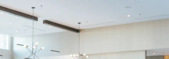 Botanicus Kitchen + Bar