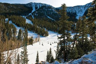 Mount Charleston Tour