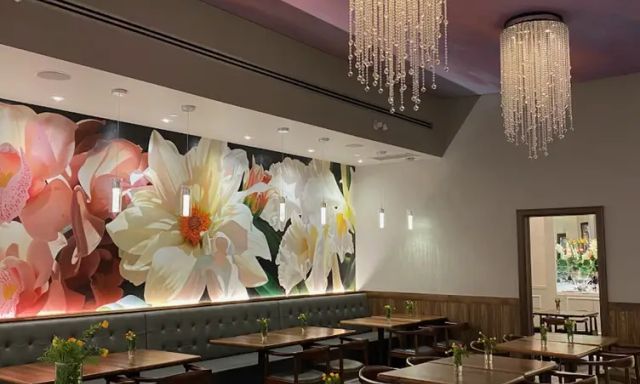 Franks Organic Garden