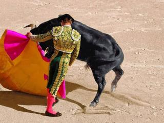 Ultimate Bullfighters