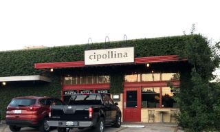 Cipollina