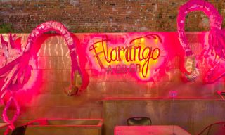 Flamingo A-Go-Go