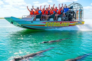 Everglades & Gator Spotting Airboat - free hotel pick up