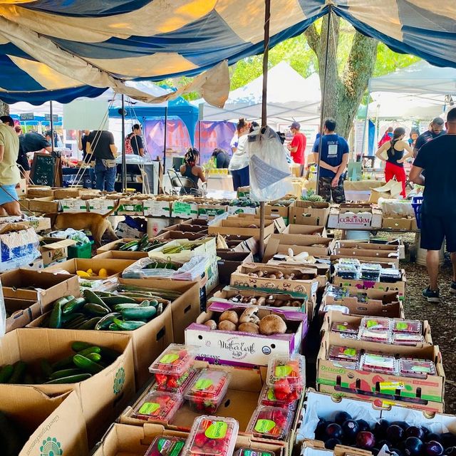 Coconut Grove Organic Farmers Market in Miami