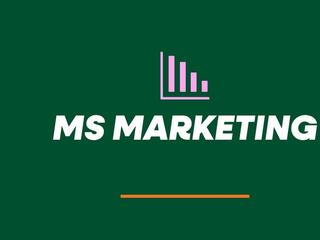 Master of Science in Marketing Information Session