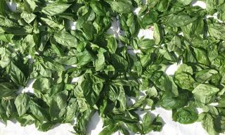 Three Tomatoes Trattoria