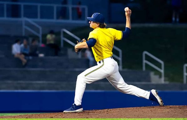 Minnesota Golden Gophers at Michigan Wolverines Baseball