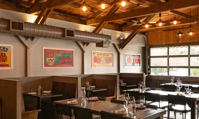 Cora Pizza and Plates