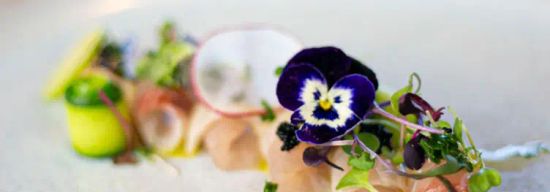 Osushi Japanese Restaurant