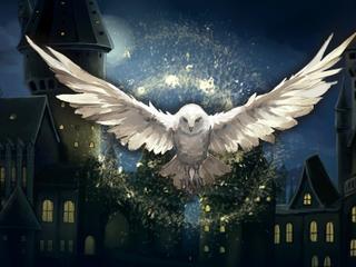 Hogwarts Magic Symphony