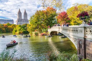 Central Park Bicycle Rentals New York City