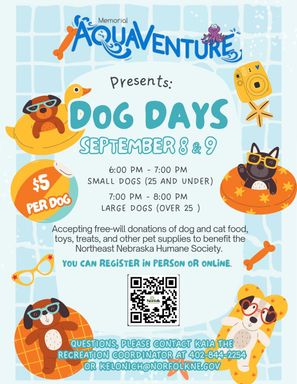 Dog Days at Aquaventure