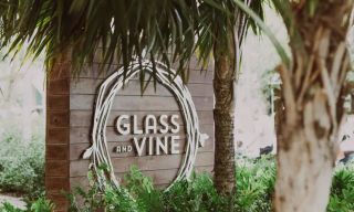 Glass & Vine