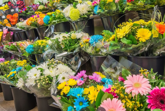 Forest of Flowers