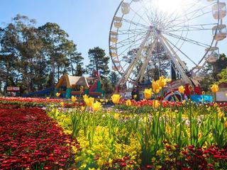 Floriade Festival 2026
