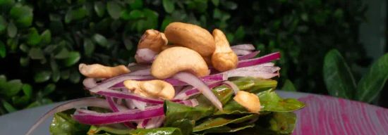 Palominos