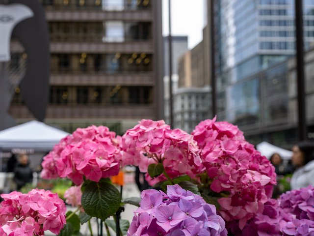 Division Street Farmers Market