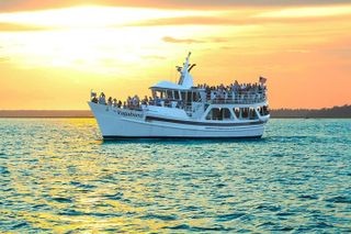 Hilton Head Sunset Dolphin Watching Cruise