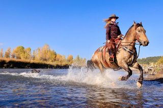 3 Hour Horseback Riding in Jackson Hole
