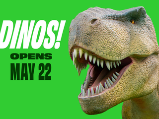 Dinos!