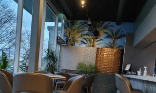 Montfort Mediterranean Cuisine - Oakville
