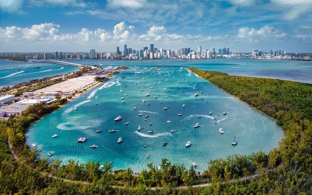Miami Open Tennis