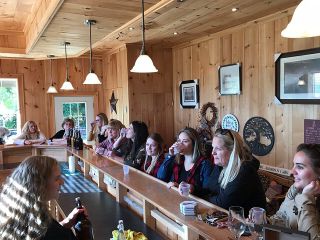 Private:Brewery, Winery, and Cider & Spirit Tastings Tour in SW Ontario