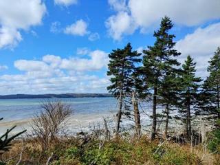 Discover McNabs Island: South End Heritage Tour