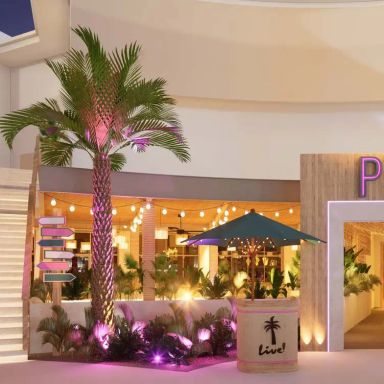 Palm Tree Club Orlando