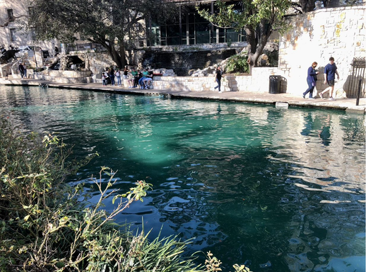 Bud Light St. Patrick's River Parades & Celebrations + River Dyeing