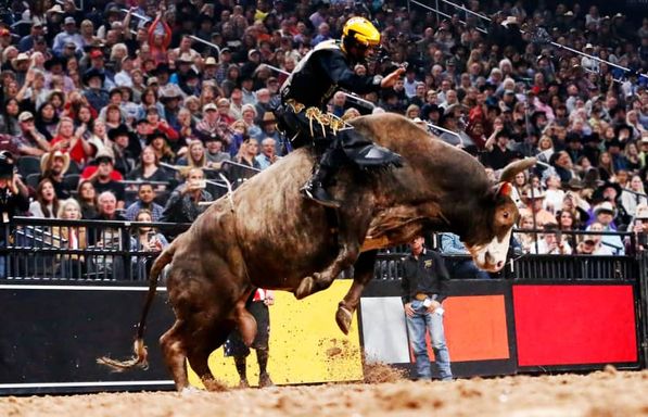 PBR: Teams 3 Day Combo