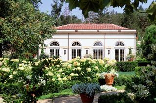 Private Sonoma Wine Tour up to 4 Guests - Our Most Popular Tour!