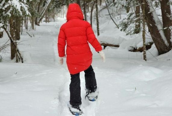 Snowshoeing in the Westminster Ponds