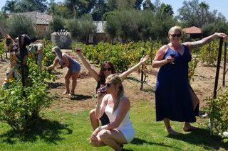 Chauffeured Adventure to Local San Diego Vineyards