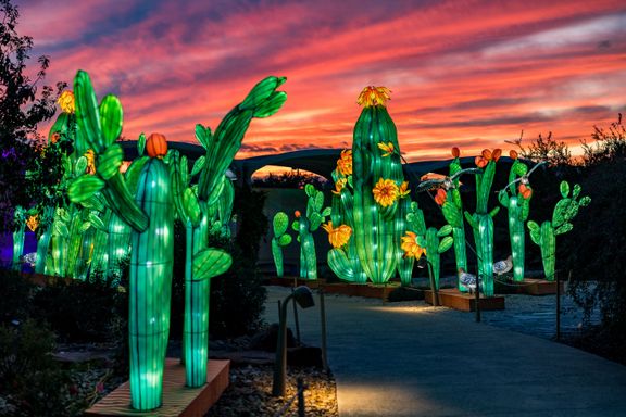 Inaugural Tianyu Lights Festival