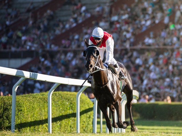Del Mar Thoroughbred Racing