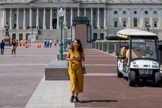 US Capitol, Supreme Court or Library of Congress Small-Group Tour