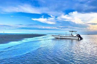 Hilton Head Vanishing Island & Beachcombing Cruise