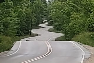 Door County’s Northern Peninsula: A Self-Guided Drive