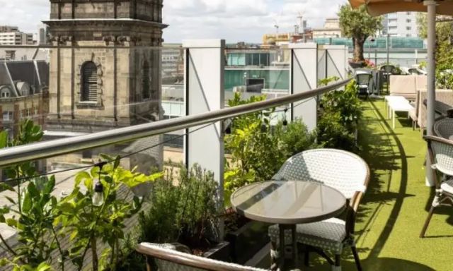 Angelica & Crafthouse