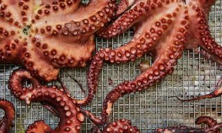 Oyster House Philadelphia