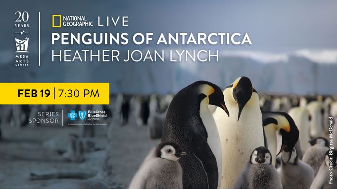 National Geographic Live: Penguins of Antarctica